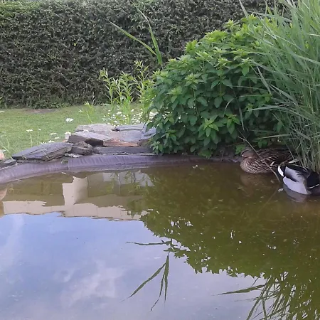 Haus Kiko فيلدين ام ورثرسي