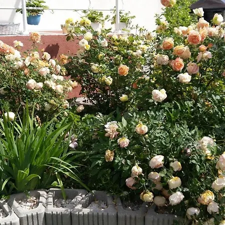 Haus Kiko Apartamento