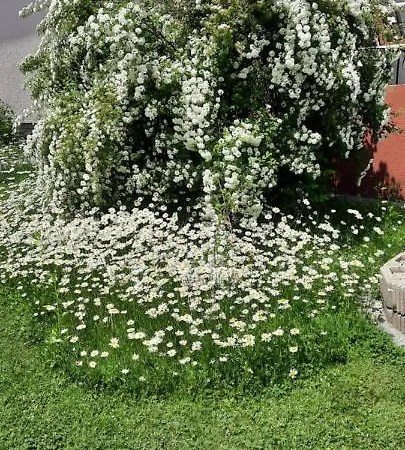 Haus Kiko Apartament *