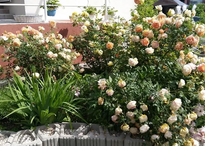 Haus Kiko Apartamento