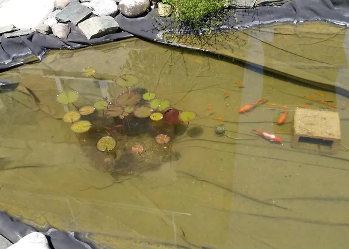 Haus Kiko * Velden am Wörthersee