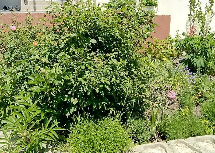 アパート Haus Kiko